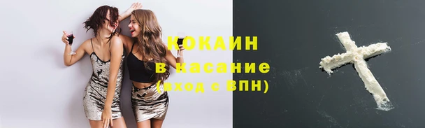 гашик Богородск