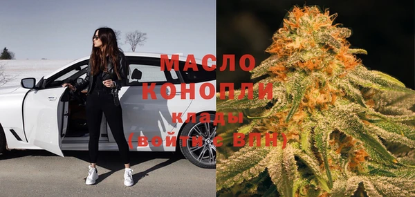 ECSTASY Богданович