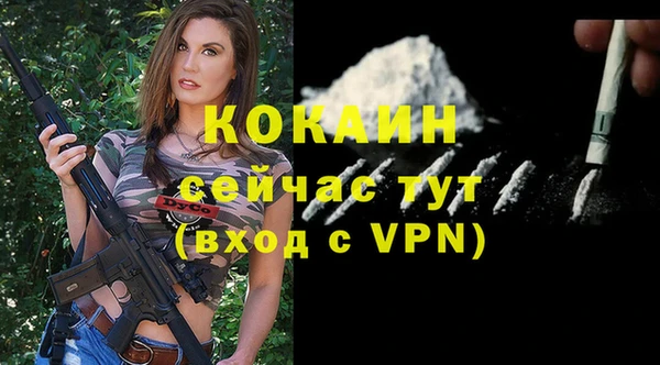 ECSTASY Богданович