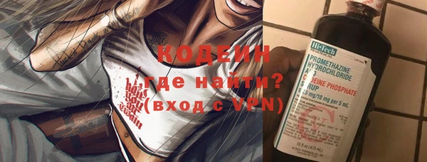 ECSTASY Богданович