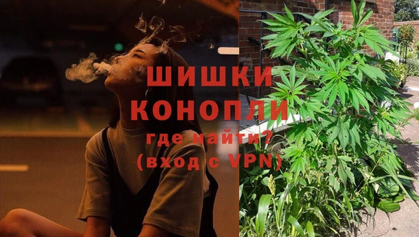 гашик Богородск