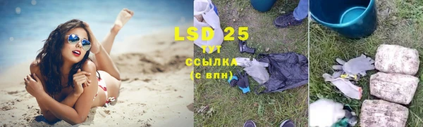 ECSTASY Богданович