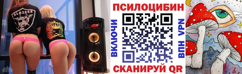 купить   Санкт-Петербург  Псилоцибиновые грибы GOLDEN TEACHER 